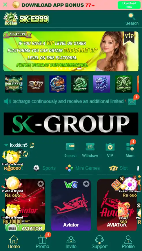 SK-E999 Game screenshot image.